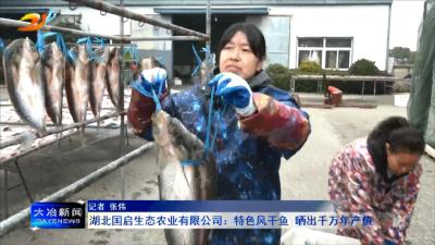 湖北国启生态农业有限公司：特色风干鱼 晒出千万年产值