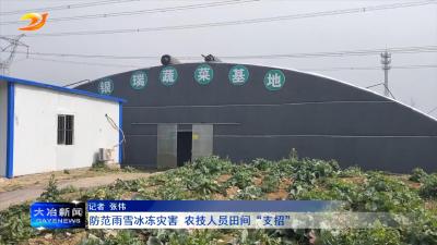 防范雨雪冰冻灾害 农技人员田间“支招”