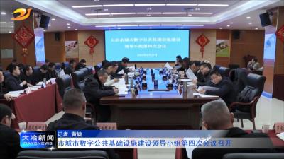 市城市数字公共基础设施建设领导小组第四次会议召开