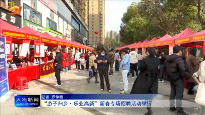 “游子归乡·乐业高新”新春专场招聘活动举行