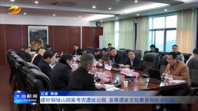 建好铜绿山国家考古遗址公园 发挥遗址文化教育和经济价值