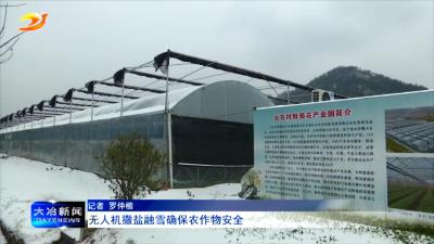 无人机撒盐融雪确保农作物安全