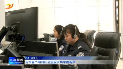 我市春节期间社会治安大局平稳有序