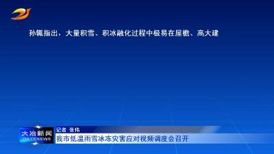 我市低温雨雪冰冻灾害应对视频调度会召开
