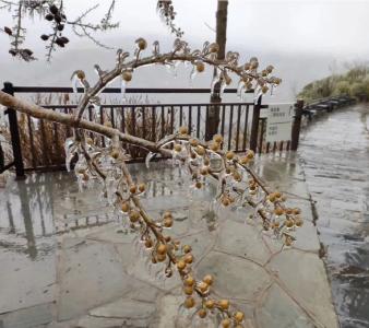 积雪5厘米！武汉今晚，冻雨、大到暴雪