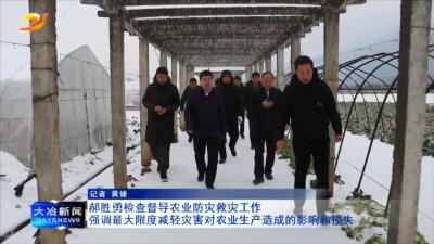 郝胜勇检查督导农业防灾救灾工作
强调最大限度减轻灾害对农业生产造成的影响和损失