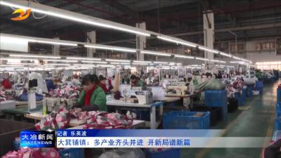 大箕铺镇：多产业齐头并进 开新局谱新篇