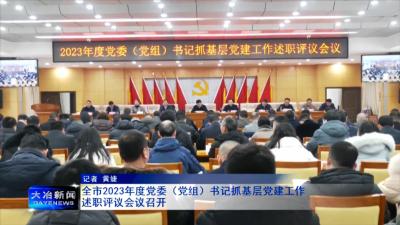 全市2023年度党委（党组）书记抓基层党建工作述职评议会议召开