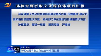 孙辄专题听取文化综合体项目汇报
