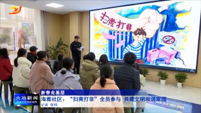 海雅社区：“扫黄打非”全员参与 共建文明和谐家园