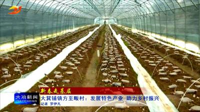 【新春走基层】大箕铺镇方至畈村：发展特色产业 助力乡村振兴