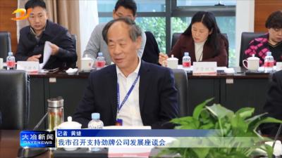 我市召开支持劲牌公司发展座谈会