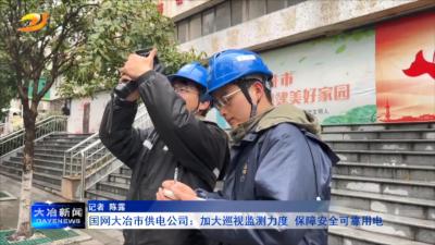 国网大冶市供电公司：加大巡视监测力度 保障安全可靠用电