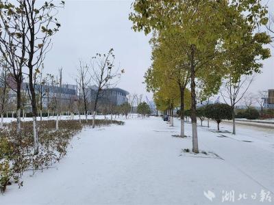 雨雪天气维持 但冻雨、冰粒强度减弱