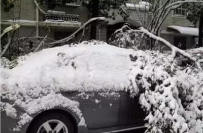 应急科普 | 冰雪路面出行，这些技巧给你稳稳的安全