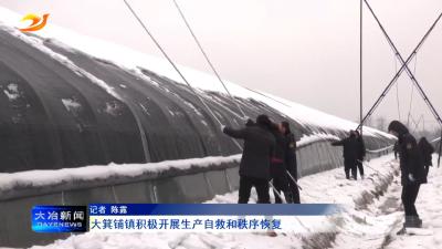 大箕铺镇积极开展生产自救和秩序恢复