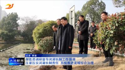 郝胜勇调研督导河湖长制工作强调
压紧压实河湖长制责任 系统推进流域综合治理