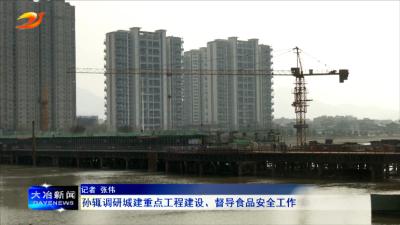 孙辄调研城建重点工程建设、督导食品安全工作