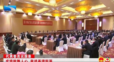 代表委员议国是丨成绩鼓舞人心 奋进再谱新篇