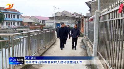郄英才来我市检查农村人居环境整治工作