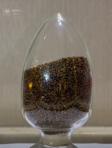 两会行李箱：全国人大代表沈艳芬带着“硒”望的种子走入春天