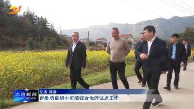 郝胜勇调研小流域综合治理试点工作