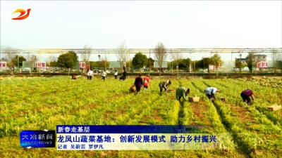 【新春走基层】龙凤山蔬菜基地：创新发展模式 助力乡村振兴