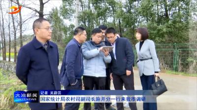 国家统计局农村司副司长施开分一行来我市调研