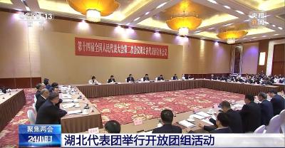 聚焦两会 湖北代表团举行开放团组活动