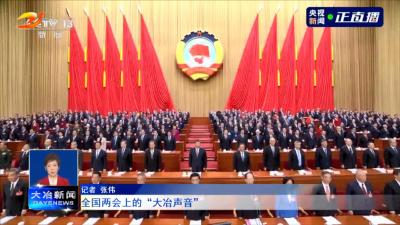 全国两会上的“大冶声音”