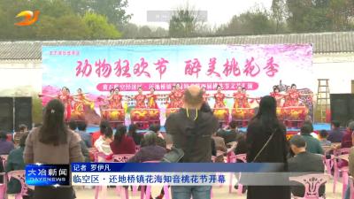 临空区还地桥镇花海知音桃花节开幕