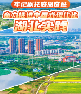 牢记嘱托感恩奋进 奋力推进中国式现代化湖北实践