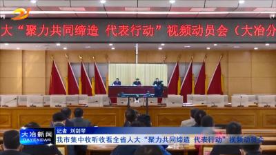 我市集中收听收看全省人大“聚力共同缔造 代表行动”视频动员会