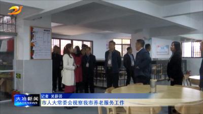 市人大常委会视察我市养老服务工作