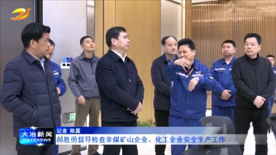郝胜勇督导检查非煤矿山企业、化工企业安全生产工作