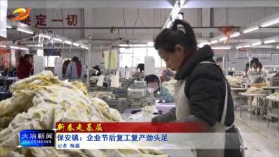 【新春走基层】保安镇：企业节后复工复产劲头