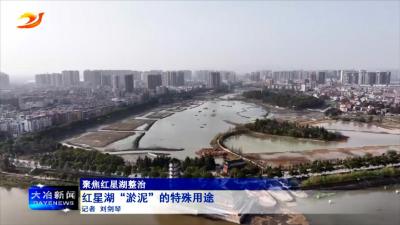 红星湖“淤泥”的特殊用途