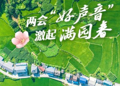 今日好稿丨两会“好声音”，激起满园春
