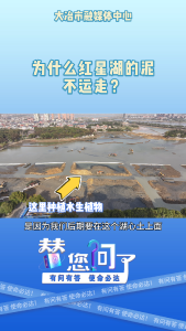 为什么红星湖的泥不运走？