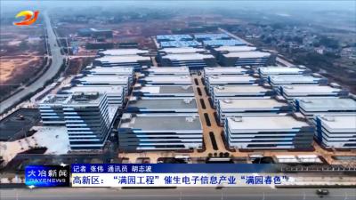 高新区：“满园工程”催生电子信息产业“满园春色”