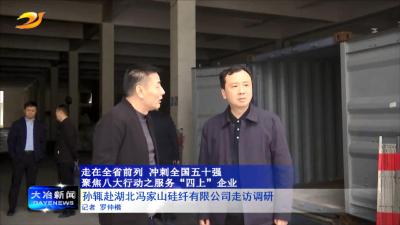 孙辄赴湖北冯家山硅纤有限公司走访调研