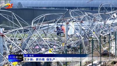 灵乡镇：抓自救 保生产