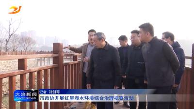 市政协开展红星湖水环境综合治理视察活动