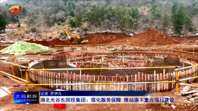 湖北光谷东国投集团：强化服务保障 推动旗下重点项目建设