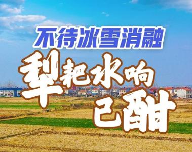 拼经济 “开门红”㊲丨不待冰雪消融 犁耙水响已酣