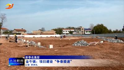 金牛镇：项目建设“争春提速”