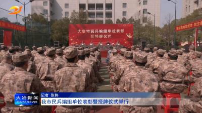 我市民兵编组单位表彰暨授牌仪式举行