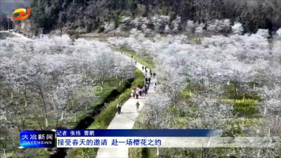 接受春天的邀请 赴一场樱花之约