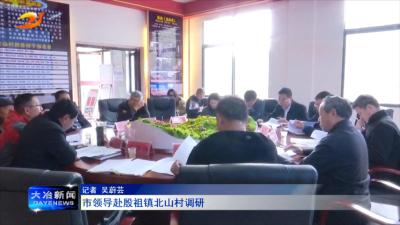 市领导赴殷祖镇北山村调研