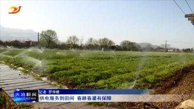 供电服务到田间 春耕春灌有保障